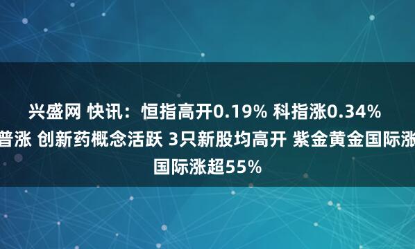 兴盛网 快讯：恒指高开0.19% 科指涨0.34% 黄金股普涨 创新药概念活跃 3只新股均高开 紫金黄金国际涨超55%