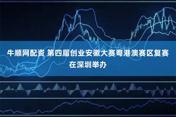 牛顺网配资 第四届创业安徽大赛粤港澳赛区复赛在深圳举办