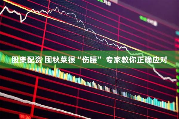 股樂配资 囤秋菜很“伤腰” 专家教你正确应对