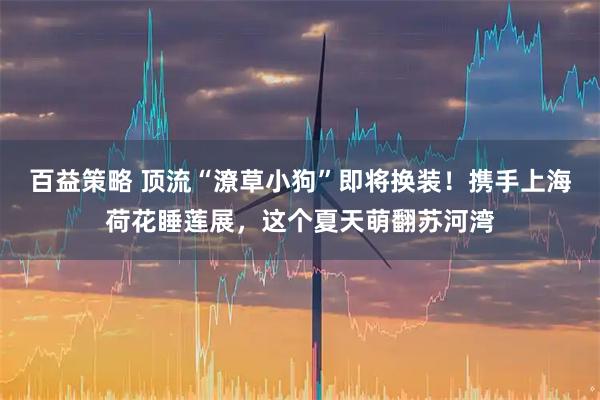 百益策略 顶流“潦草小狗”即将换装！携手上海荷花睡莲展，这个夏天萌翻苏河湾