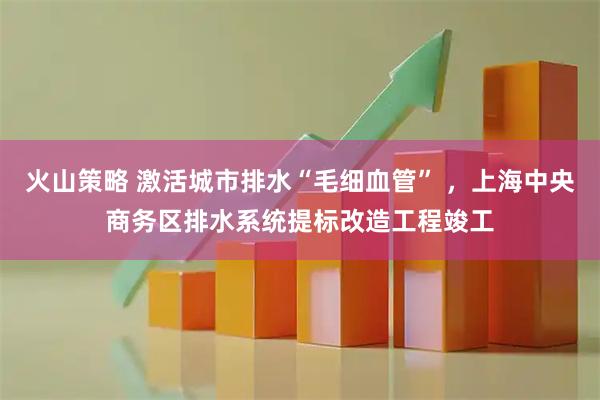 火山策略 激活城市排水“毛细血管” ，上海中央商务区排水系统提标改造工程竣工